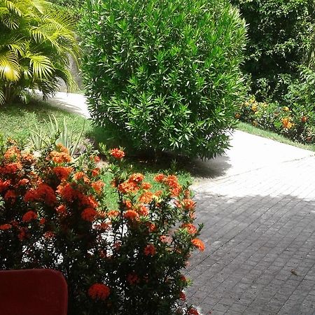 Bungalow Le Manikou Le Robert Luaran gambar