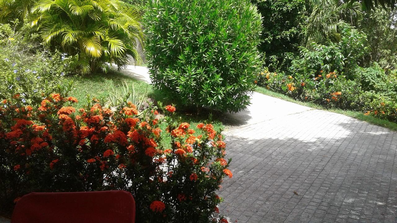 Bungalow Le Manikou Le Robert Luaran gambar