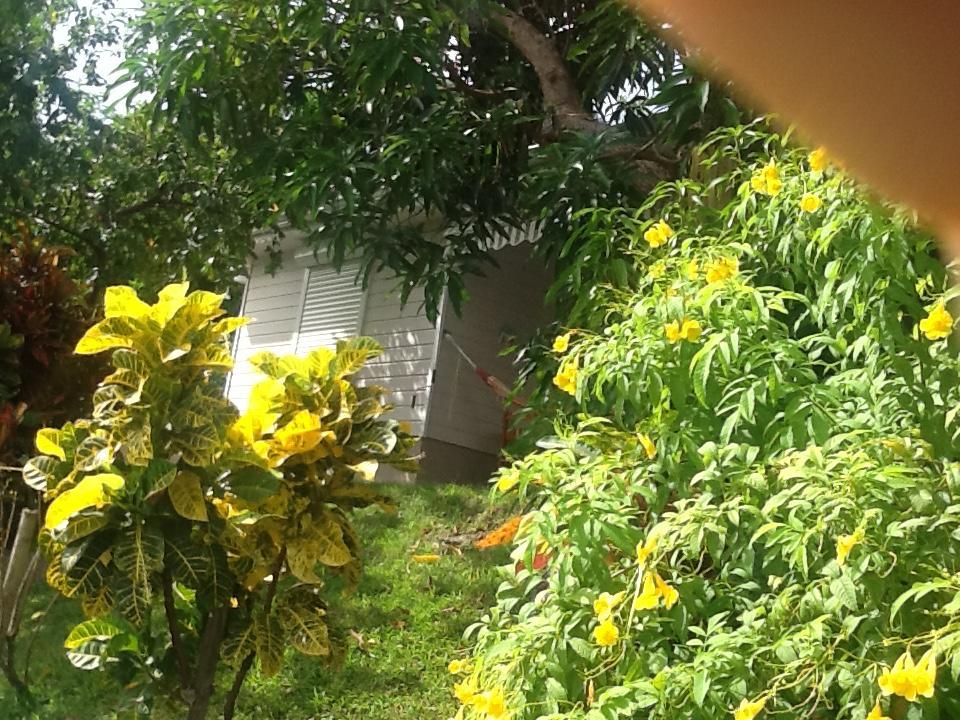 Bungalow Le Manikou Le Robert Luaran gambar